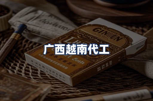 广西越南代工